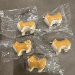 いい感じの棒をゲットした犬 柴犬5個セットのサムネイル