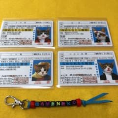 なめ猫　免許証　ゴールドカード　4枚　NO.6のサムネイル