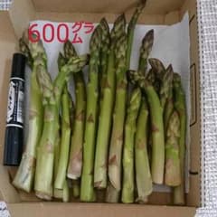 朝どりアスパラガス600グラムのサムネイル