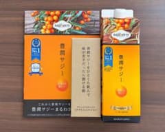 豊潤サジー 1000mL アレンジスティック付きのサムネイル