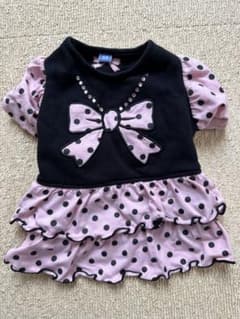 犬服☆ペットパラダイスSSサイズ ドットリボンワンピのサムネイル