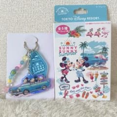 【未使用】東京ディズニーリゾート サニーサニーサマー キーチェーン シークレットのサムネイル