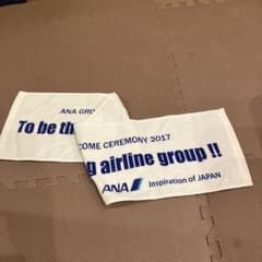 ANA GROUP 2017 入社式記念タオルのサムネイル