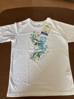 Tシャツのサムネイル