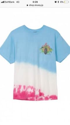 stussy 新品タグ付き teeのサムネイル