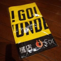 群馬クレインサンダース・GOGOサンダースタオルのサムネイル