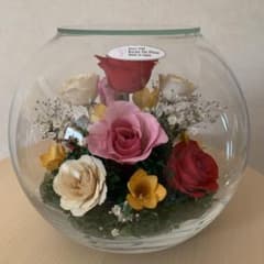 Reine De Fleur プリザーブドフラワーアレンジメント - メルカリ
