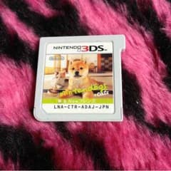 いきなり購入NG‼  DSソフトฅ ̳͒•ˑ̫• ̳͒ฅ♡のサムネイル