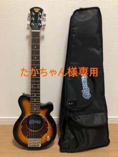 ピグノーズ PGG-200 Brown Sunburstのサムネイル