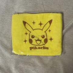 ポケモン　スタイ(ピカチュウ) 2個セットのサムネイル