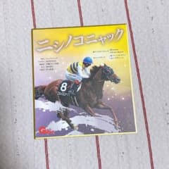 名馬全史 ニシノコニャック