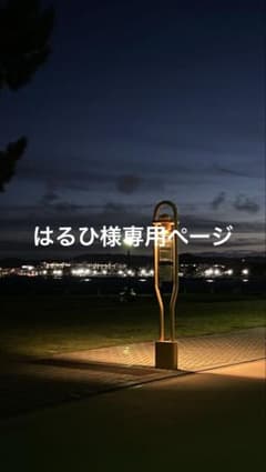 専用ページのサムネイル