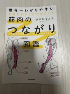 世界一わかりやすい 筋肉のつながり図鑑のサムネイル