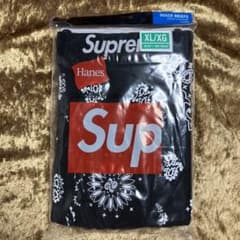 Supreme / Hanes Bandana Boxer Briefのサムネイル