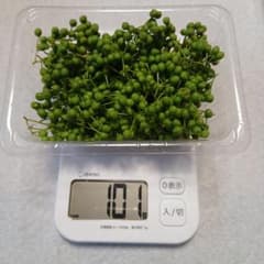 ☆ 山椒の実　100g ☆のサムネイル