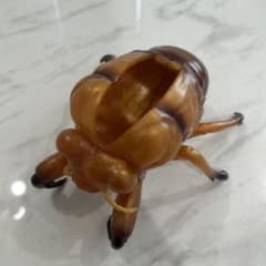 セミの抜け殻 フィギュア 昆虫 模型のサムネイル
