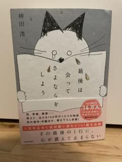 最後は会ってさよならをしようのサムネイル
