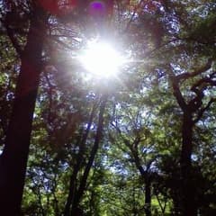 ひろぴん様 専用ページのサムネイル