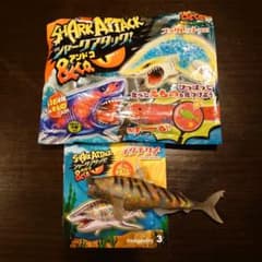 シャークアタック＆CO. イタチザメのサムネイル