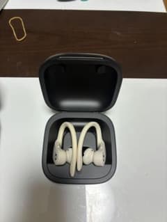 Beats Powerbeats Pro 本体 アイボリーのサムネイル
