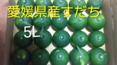愛媛県産すだち 5L 箱込1kg以上のサムネイル