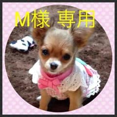ヒスミニ スタイ(リバーシブル)のサムネイル