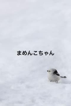 まめんこちゃんのサムネイル