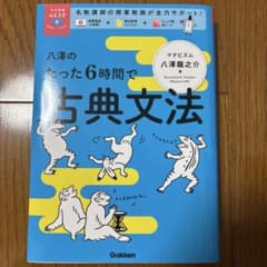 八澤のたった6時間で古典文法のサムネイル