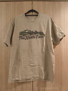 THE NORTH FACE Tシャツ グレー Lサイズのサムネイル