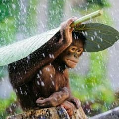 るぅ様専用  キラメキ  サックスのサムネイル