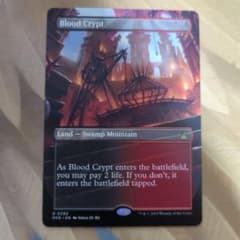 MTG 血の墓所 ボーダレス RVRのサムネイル