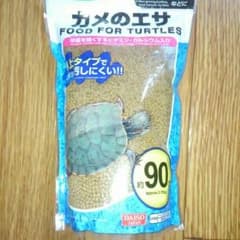かめのサムネイル