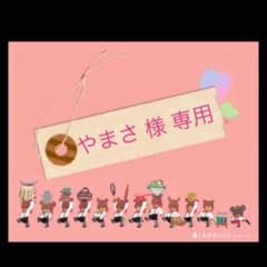 やまさ様★専用 ナイキ ワイルドトレイルのサムネイル
