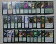 MTG【野生の心、セルヴァラ】統率者デッキ100枚＋調整パーツのサムネイル