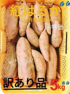 紅はるか さつまいも 訳あり品 5kg♪のサムネイル