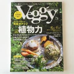 【お値下げ】ベジィステディゴー  Vo.8のサムネイル
