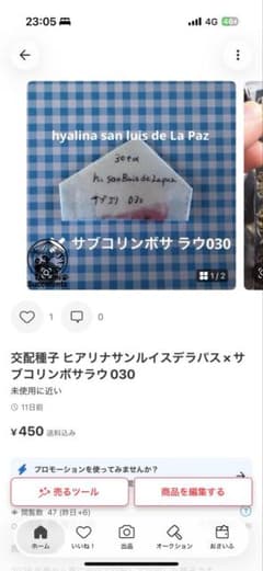 コグミ様専用 種子セットのサムネイル