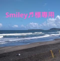 Smiley♬様専用ページですのサムネイル