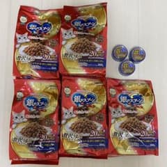 銀のスプーン　贅沢うまみ仕立て　２０歳を過ぎてもすこやかに　4kg  猫缶のサムネイル