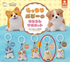 もっちりパピーのめじるしマスコット ポメラニアン 犬 ガチャ 匿名配送のサムネイル