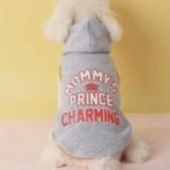 犬用 パーカー MOMMY'S PRINCE CHARMING グレーのサムネイル