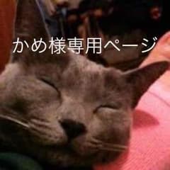 かめさん専用 パワーアンプのサムネイル