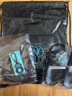 SHINee VIII 日本 アップグレード特典　プレミアムグッズ SHINee VIII 日本 アップグレード特典 プレミアムグッズ - メルカリ
