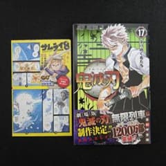 初版・帯付き・チラシ付き】鬼滅の刃 第17巻 第1刷発行 - メルカリ