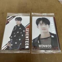 SEVENTEEN ウエハース ウォヌのサムネイル