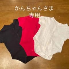 かんちゃんさま専用のサムネイル