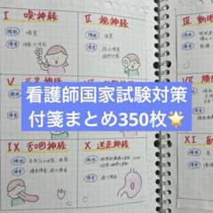 看護師国家試験】頻出まとめ付箋300枚以上 多すぎて覚えられない人に