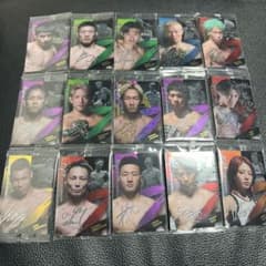 RIZIN wafer cards, including Mikuru Asakura, a set of 15 autographed martial arts fighter cards.