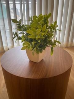 フェイクグリーン 観葉植物 人工観葉植物 鉢植え 3個セットのサムネイル