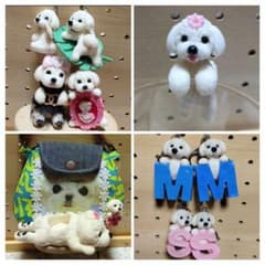 マルチーズ☆１１点set☆のサムネイル